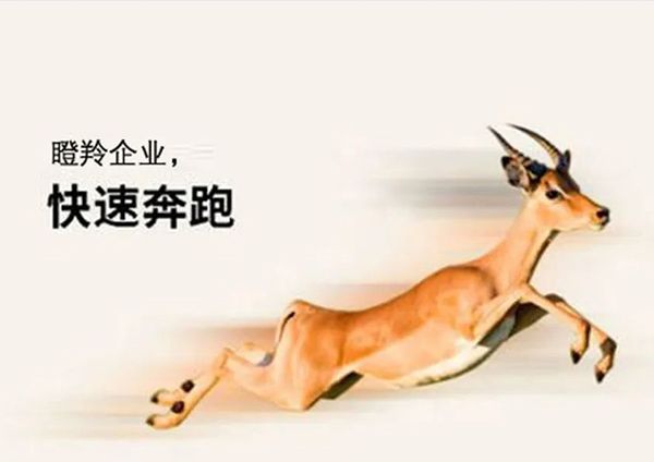 喜報！廣州研恒入選廣州市“瞪羚企業”